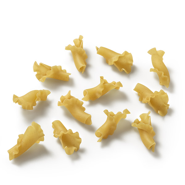 shapes encyclopedia  mueller's pasta
