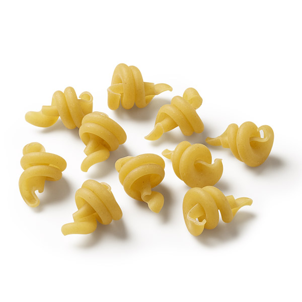 shapes encyclopedia  mueller's pasta