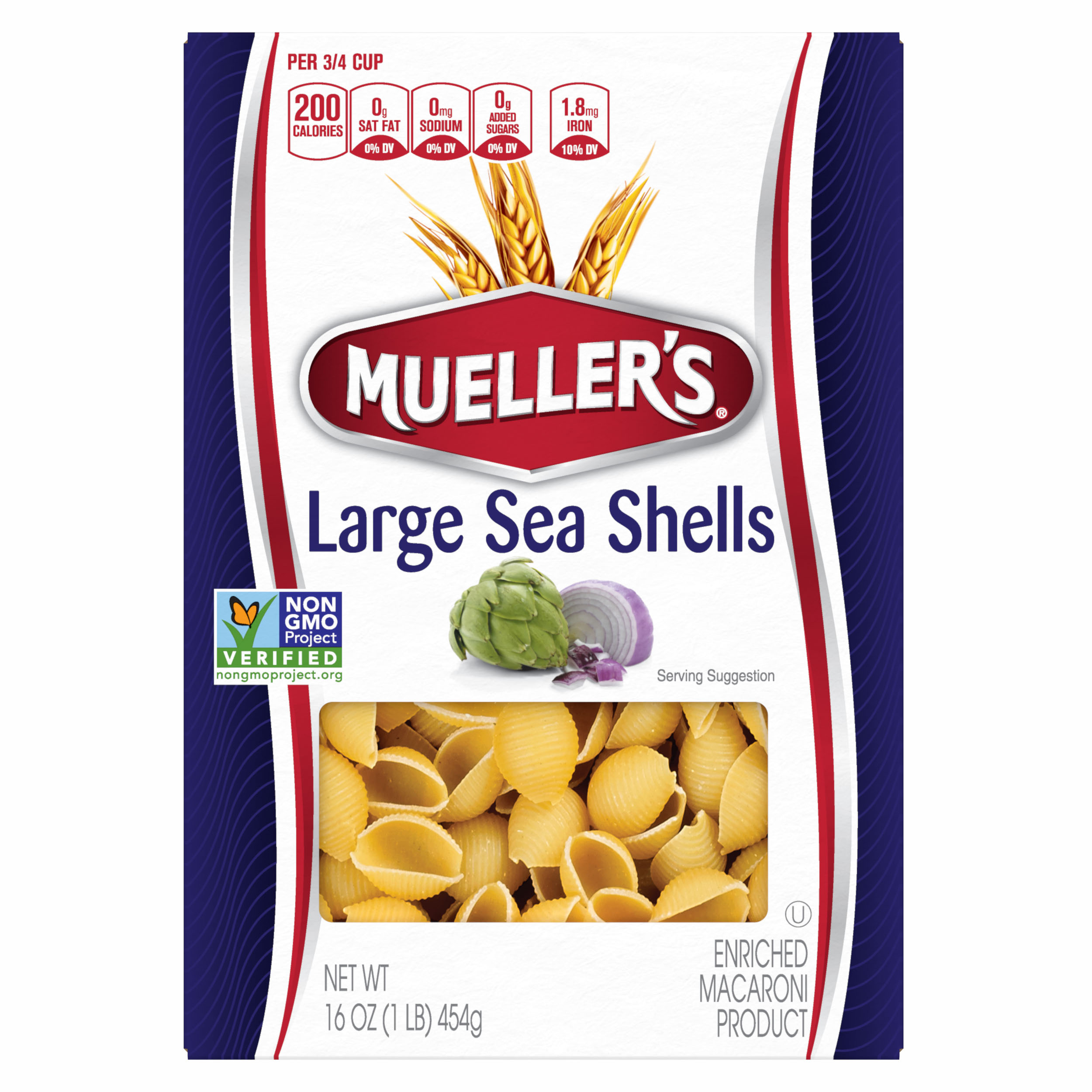 Large Sea Shells