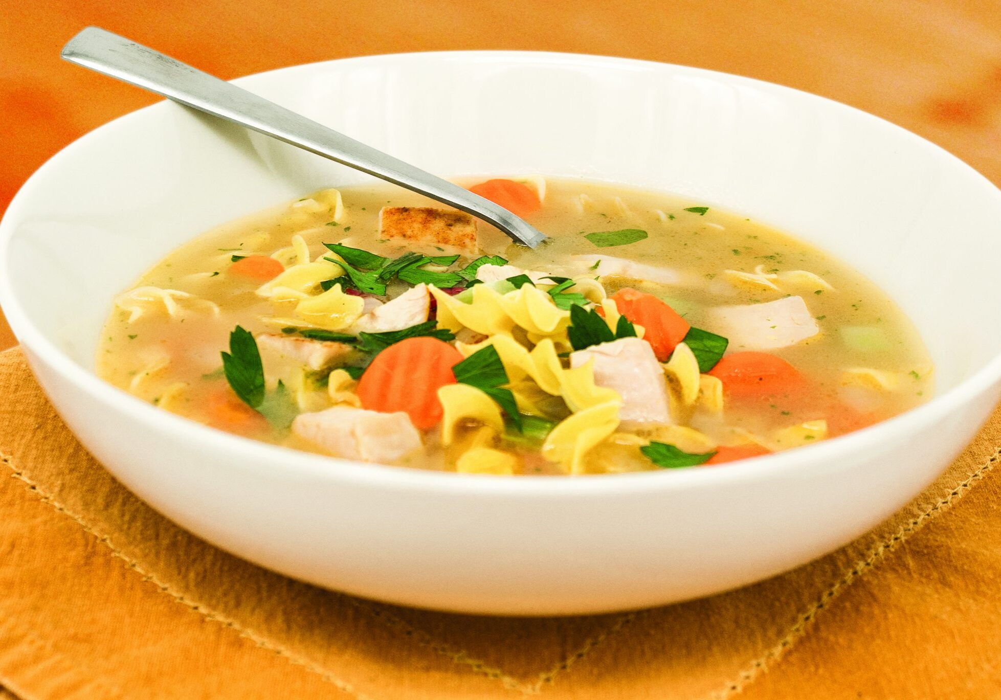 Turkey noodle soup with egg noodles, carrots, and cubed turkey in a light broth